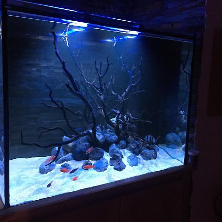 Apartament Aquarium House Sesimbra Zewnętrze zdjęcie
