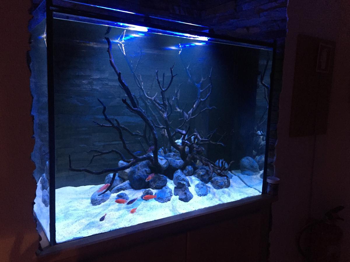 Apartament Aquarium House Sesimbra Zewnętrze zdjęcie